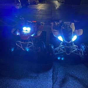 Meet your Posher, William